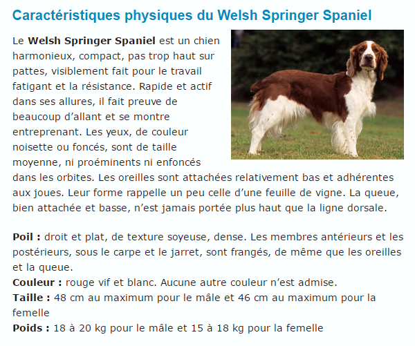 welsh-texte1.png