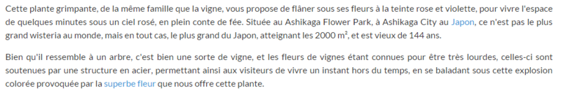wisteria-texte.png
